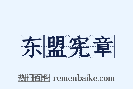 东盟宪章是什么意思的图片